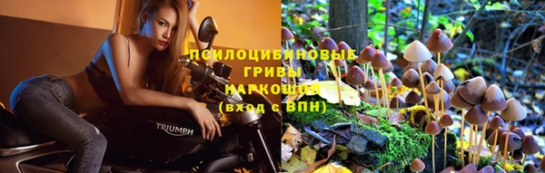 2c-b Балабаново