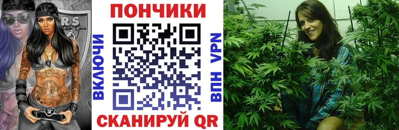 Канабис планчик  ссылка на мегу маркетплейс  Тайшет  как найти закладки 